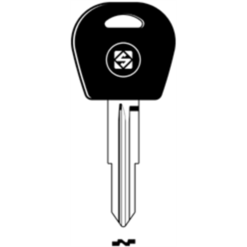 CLÉ TRANSPONDEUR LAITON DWO5T5_20