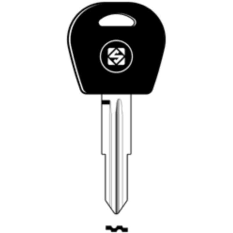 CLÉ TRANSPONDEUR LAITON DWO4RT5_20