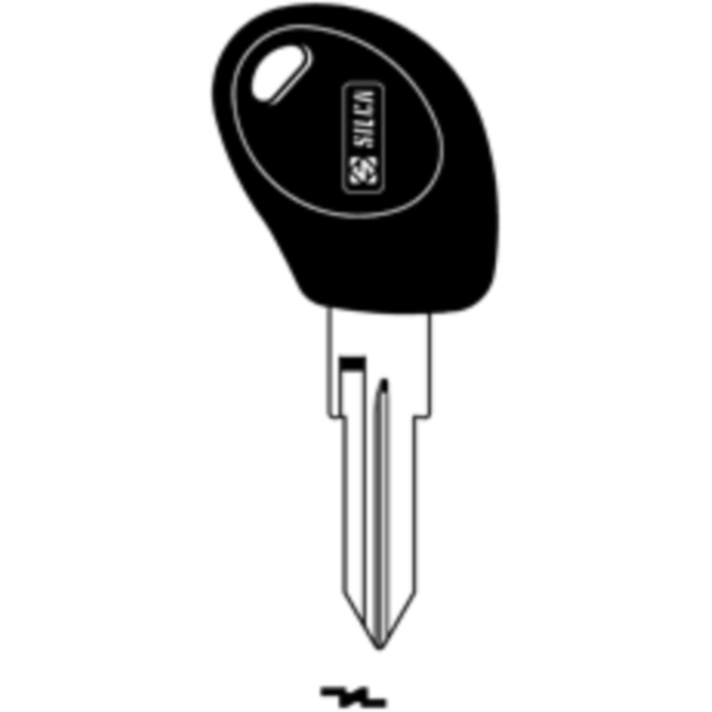 CLE TRANSP SANS PUCE AVEC BOUCHON GT10BTE_231 GT10BTE_231