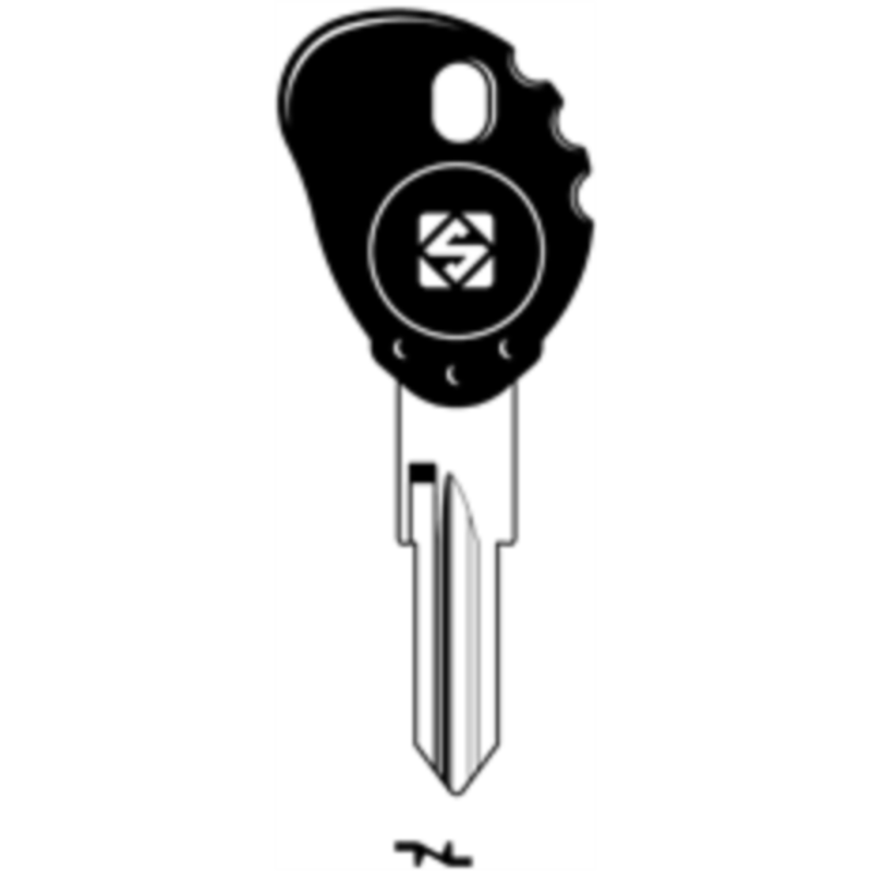 CLE TRANSP SANS PUCE AVEC BOUCHON ZD24RTE_231 ZD24RTE_231