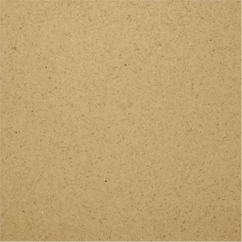 PLAQUE SALPA 6mm 100 x 70    (100)