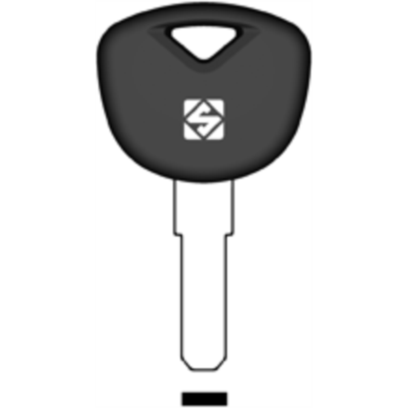 CLE TRANSP SANS PUCE AVEC BOUCHON BW9TE_201 BW9TE_201